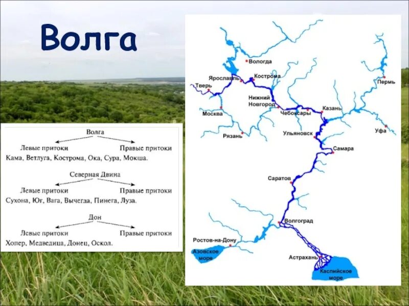 Откуда берет начало сура. Схема реки Волга с притоками. Река Волга карта реки. Река Волга схема на карте. Река Волга карта схема реки.