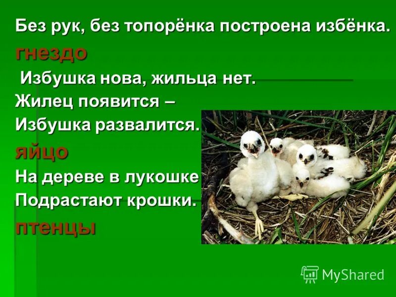 загадка без рук без топоренка. избенка построенная без рук без топоренка 6. без топоренка построена избенка. избенка построенная без рук без топоренка 6. загадка без рук без топоренка.