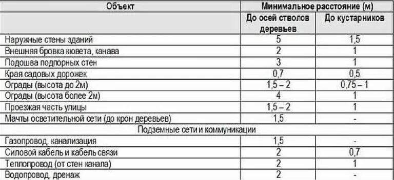 На каком расстоянии можно садить. Нормы посадки деревьев СНИП. Нормативы посадки деревьев и кустарников. Нормы высадки деревьев от забора. СНИП посадка деревьев и кустарников.