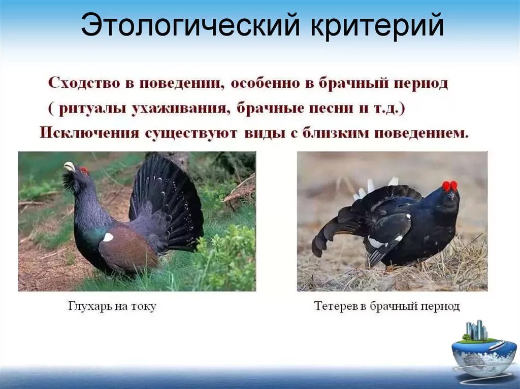 Этологические признаки это. Этогологический критерий. Этологические признаки это. Морфологический и экологический критерии. Этологический критерий примеры.