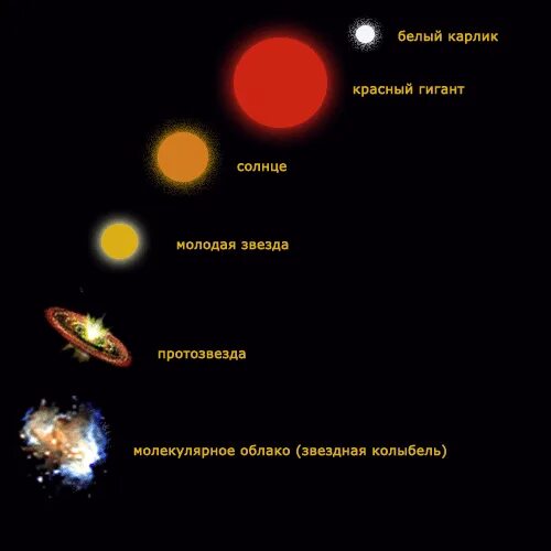 Желто белый карлик. Жизненный цикл звезды. Основные фазы эволюции звезды. Жизненный цикл звезды солнца. Этапы жизненного цикла звёзд средней массы типа солнца.