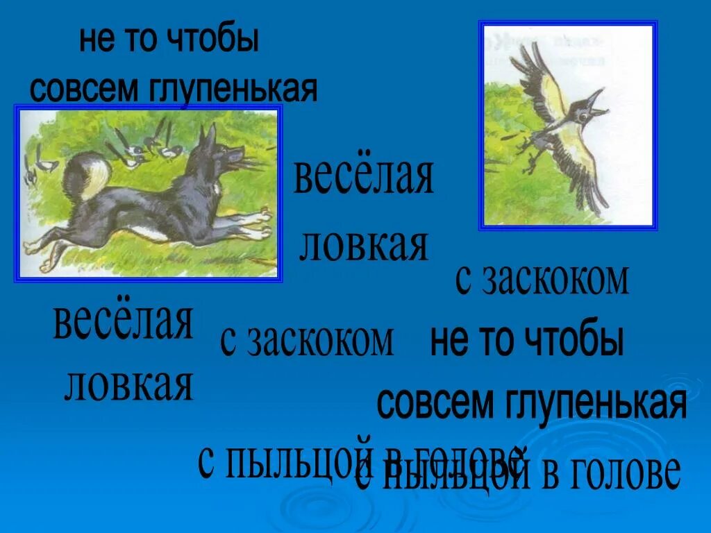 С пыльцой в голове значение. С заскоком и пыльцой в голове что это. «Рыбе – вода, птице – воздух, зверям – лес, степи, горы…» (М. пришвин). Одна из сорок не то чтобы совсем. Рыбе – вода, птице – воздух, зверю – лес, степи, горы.