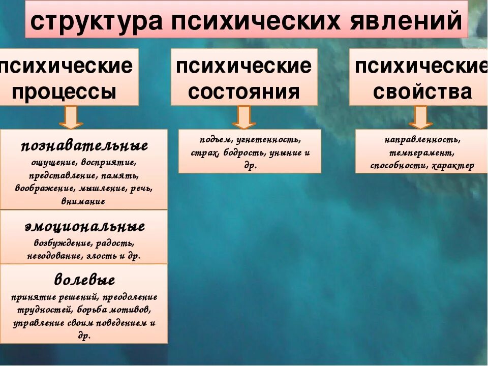 Структура психического состояния. Структура психических явлений. Структура психических состояний. Структура психики процессы это. Структура психологических явлений.