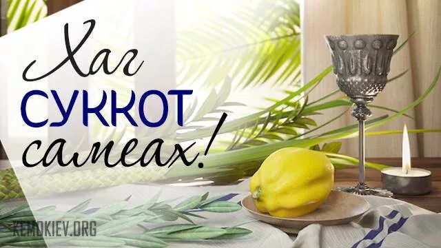 Хаг суккот самеах. Суккот самеах. праздник суккот. поздравления с праздником суккот.