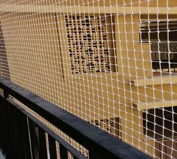 Window nets