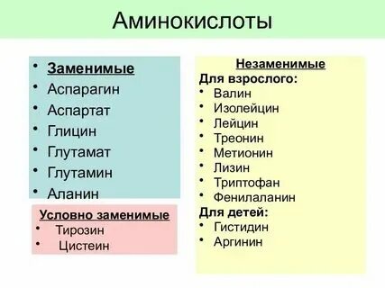 20 заменимых аминокислот