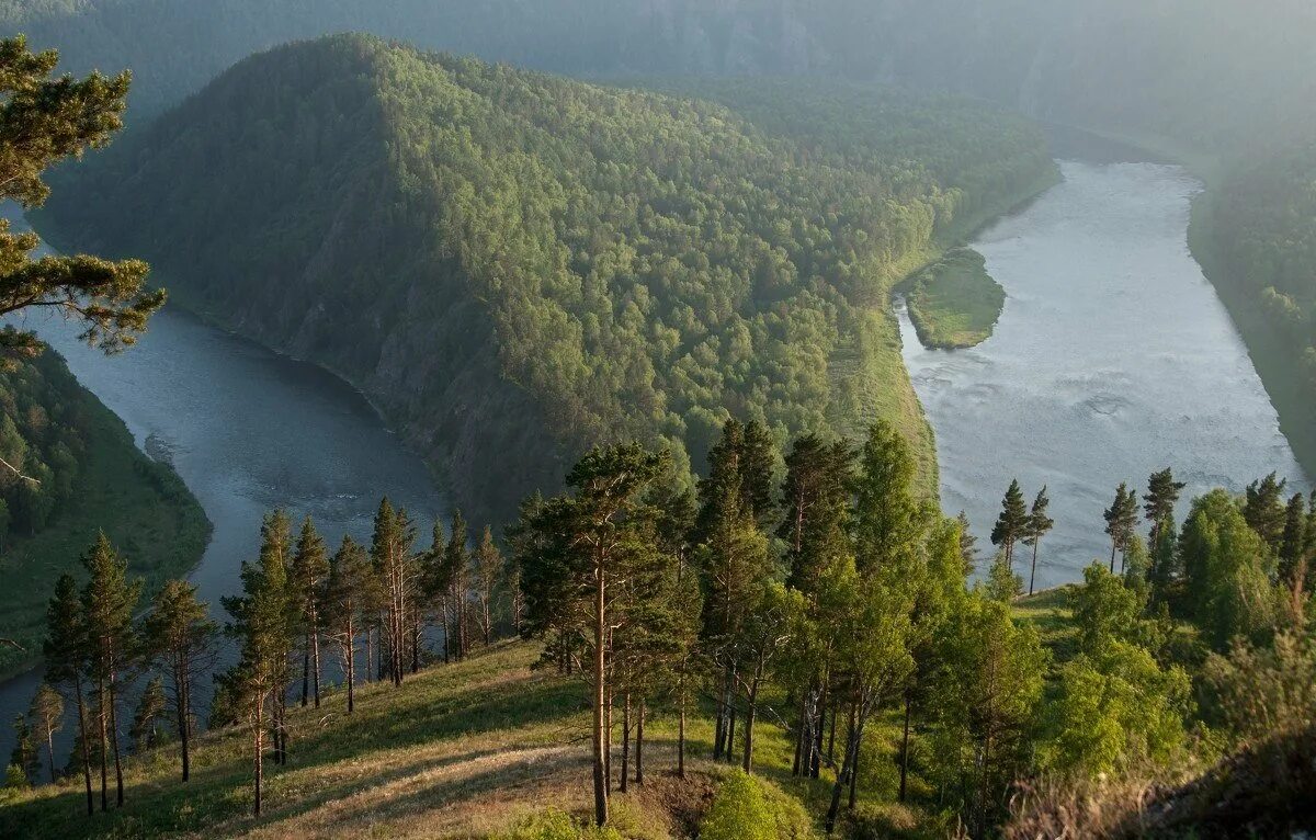 Главная река красноярского края. Река Мана Красноярск. Река Енисей Красноярский край. Река Мана Красноярский край. Тайга река Енисей.