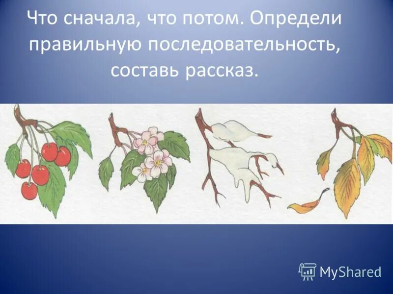 И не суть что потом даже. И не суть что потом даже