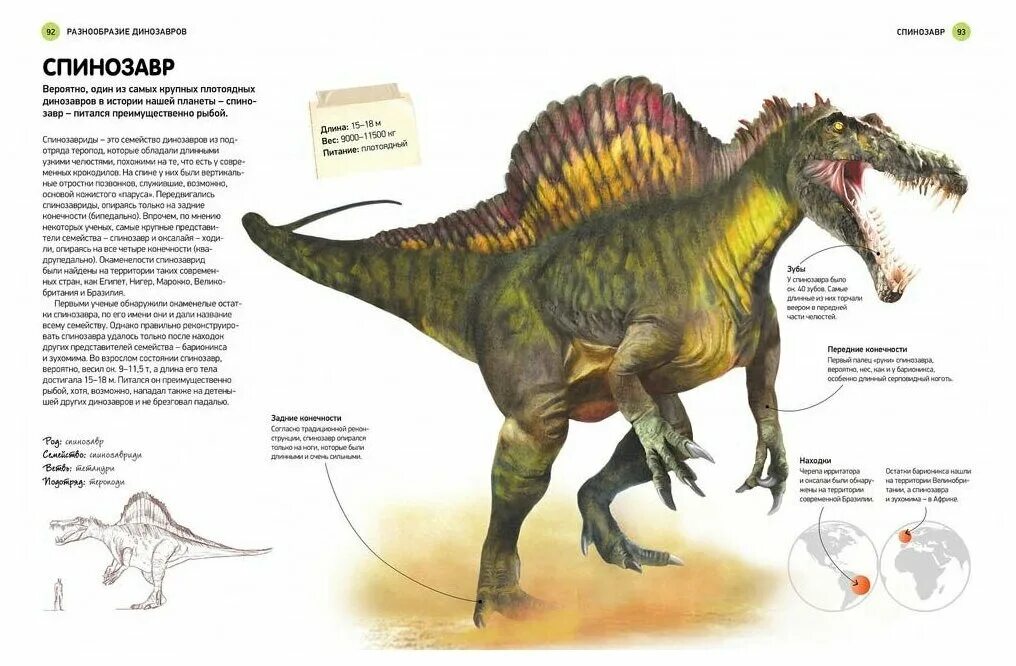 Интересные факты о алозавре. Напиши динозавры. Динозавры названия. Наземные динозавры. Джен грин "мир динозавров".