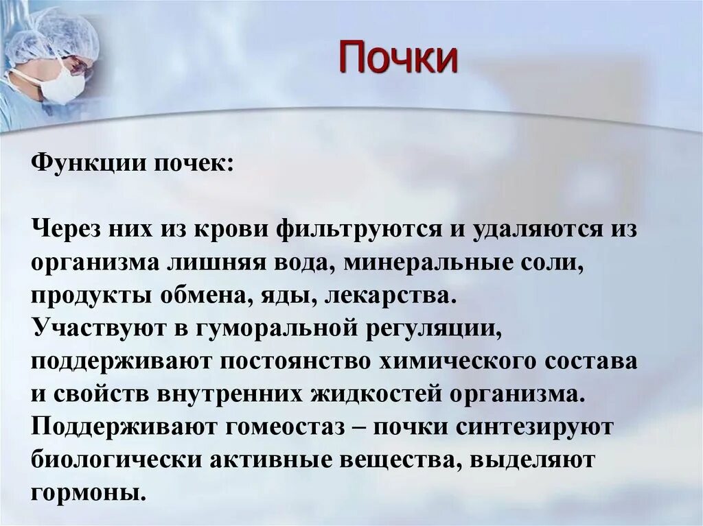 Какую функцию выполняют почки у человека. Функции почек. Функции почек в организме. Почки выполняют следующую функцию. Функции почек в организме человека.