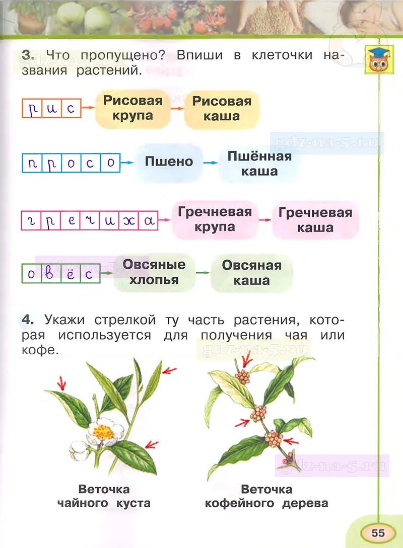 Окружающий 1 класс 1 часть рабочая тетрадь. Окружающий мир. Рабочая тетрадь. 1 Класс. Часть 1. Окружающий мир 1 класс рабочая тетрадь 1 часть Плешаков. Окружающему миру 1 класс рабочая тетрадь 1 часть Плешаков. Окружающий мир. 1 Класс. Рабочая тетрадь..