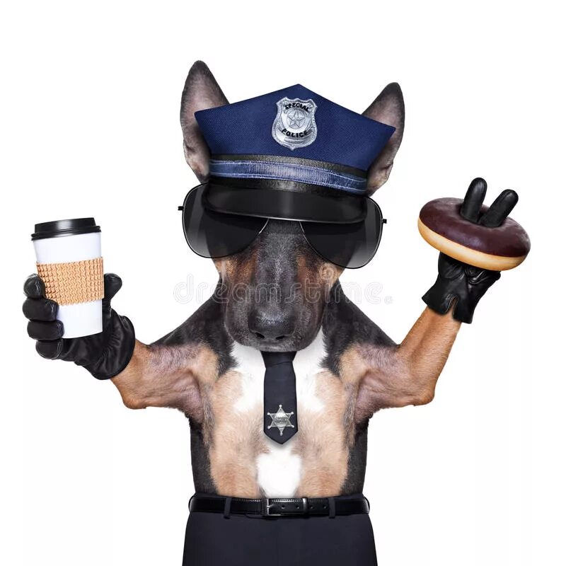 Коп и кот. Собака в фуражке. Пес в костюме полиции. Собака коп. Собака в фуражке полиции.