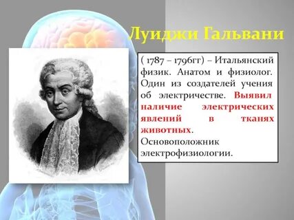 Ученые анатомы