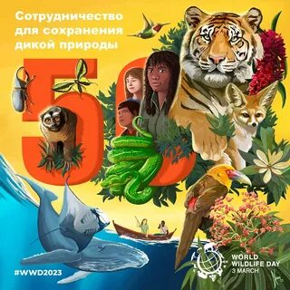 Всемирный день дикой природы сообщение