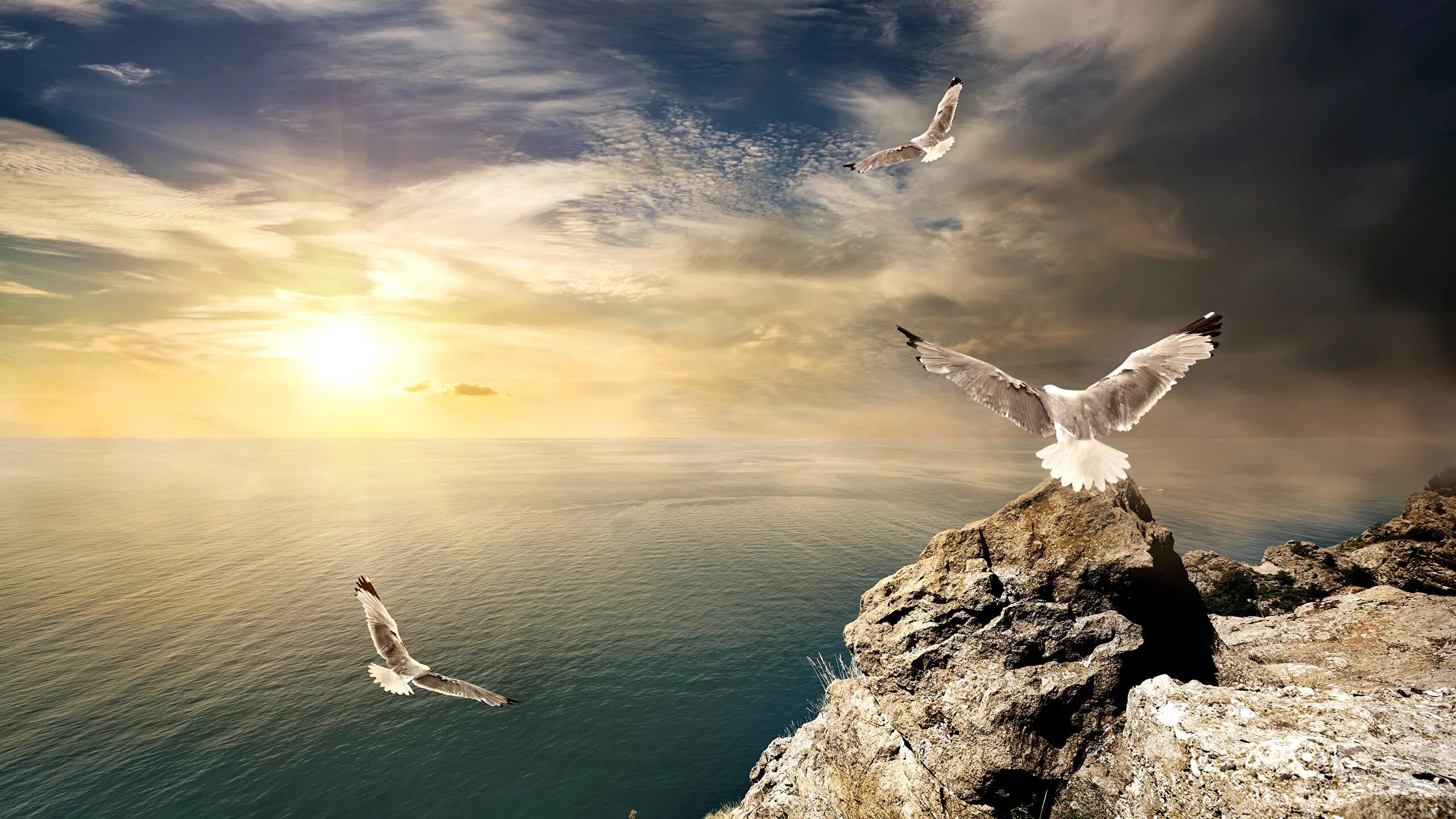 Песня птица парит. Песня птица парит. Человек с крыльями птицы. Песня птица парит. Небесные ангелы.