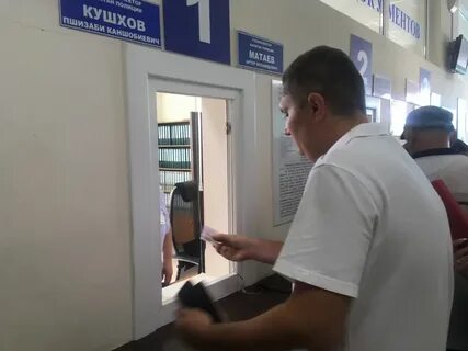 Мрэо гаи