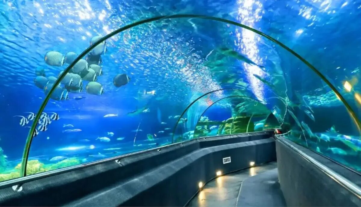 Аквариум пасифик лос анджелес. Океанариум фукуок. Океанариум фукуок. Sea life bangkok ocean world. Океанариум винперл нячанг.