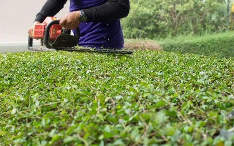 Gardening premium