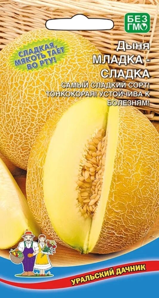 Дыня сладкий сорт. Дыня луна уральский дачник. дыня ранняя сладкая уральский дачник. дыня уральский скороспел (уд). самая сладкая дыня.