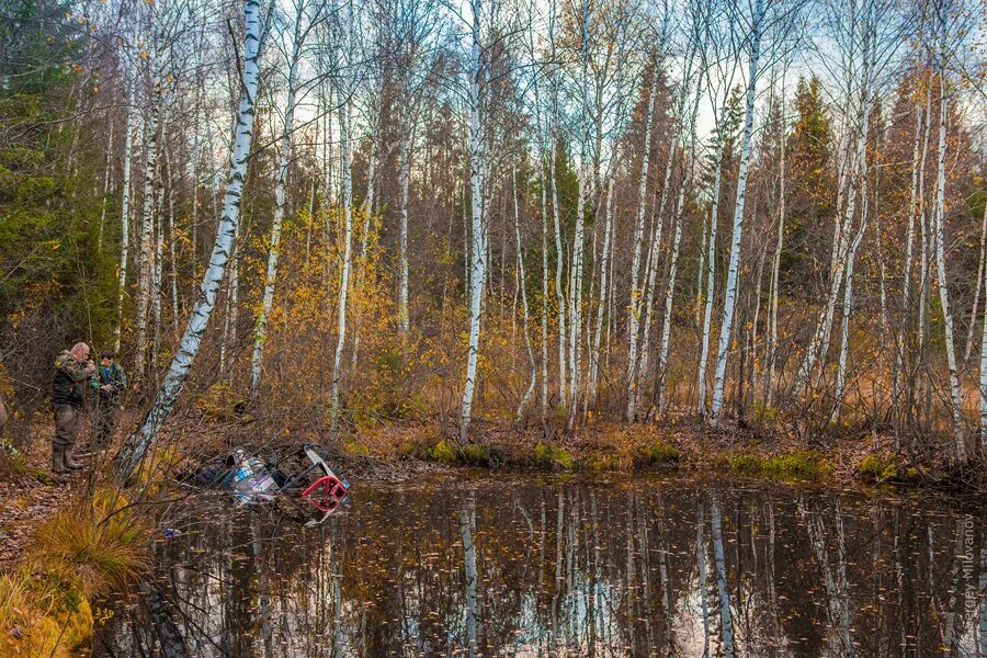Тропинка через болото. Кабаньи тропы. Кабаньи тропы в лесу. Кабаньи тропы. Кабанья тропа по грязи.