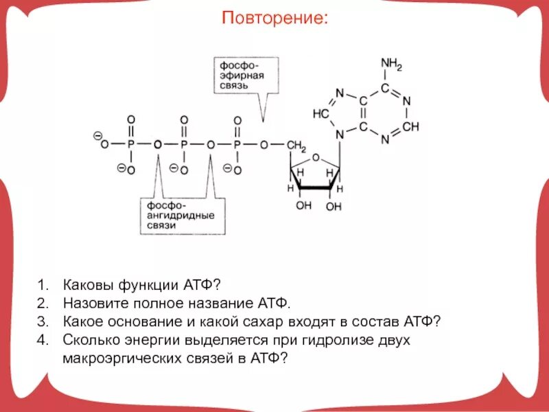Атф название. Типы связей в АТФ. Типы связей в молекуле АТФ. Строение АТФ макроэргические связи. АТФ формула структурная.