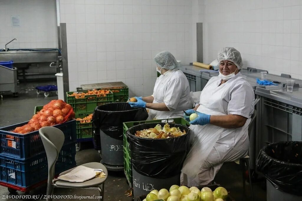 Подработка овощей. Подработка овощей. Сотрудники супермаркета. Подработка овощей. Упаковщики овощей и фруктов.