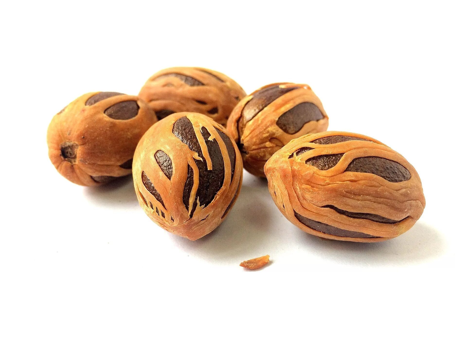 Nutmeg. Nutmeg — мускатный орех. мускатный орех ариллус. орех мускатный и мацис. мускатный орех nutmeg 113.