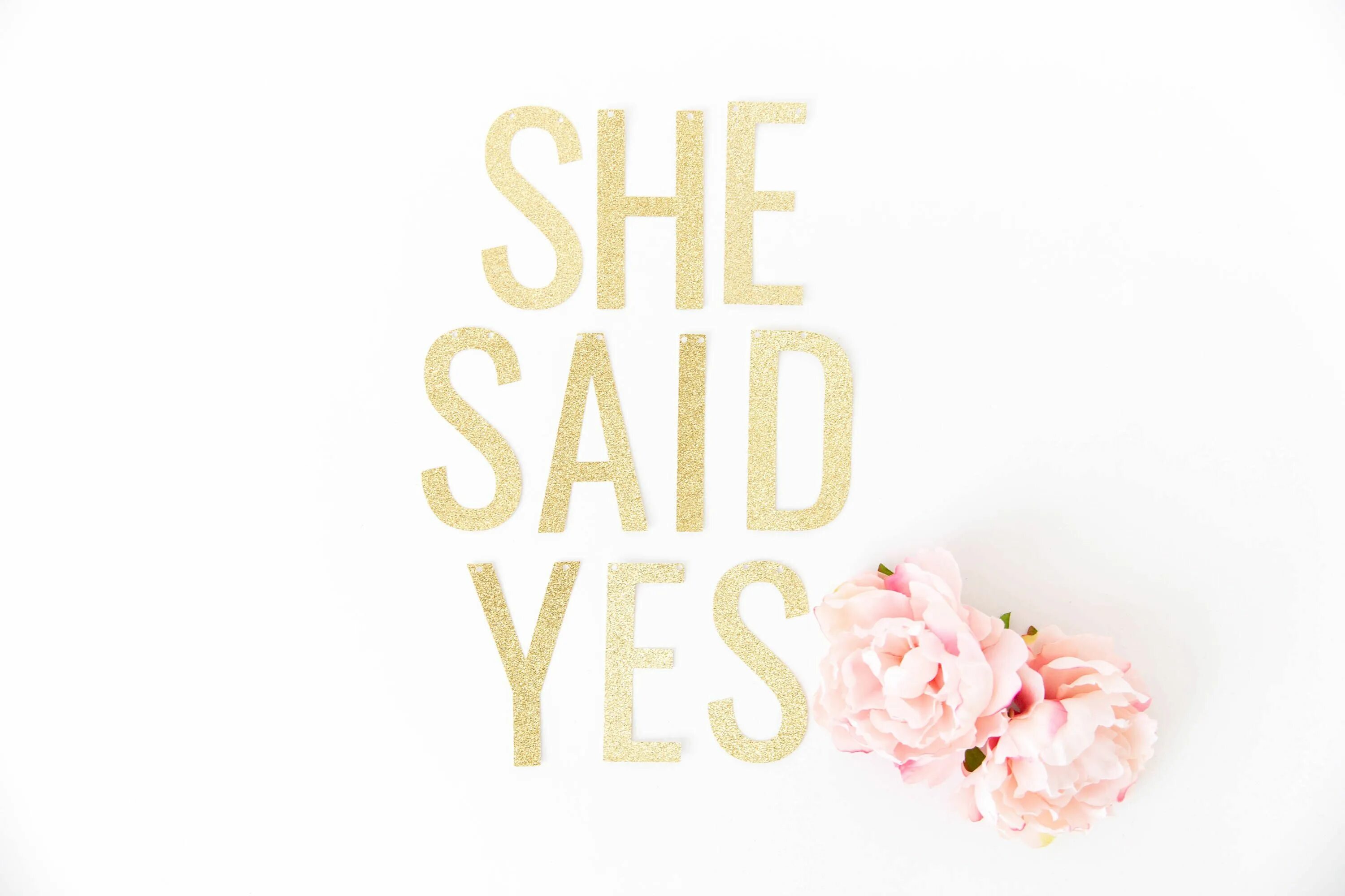 I have said yes. She said Yes картинка. Say Yes to the World картинка. She said Yes надпись. She said Yes фотообложка.
