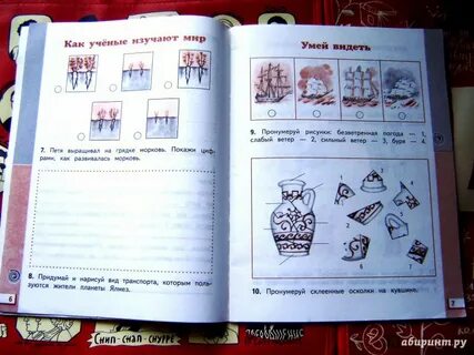 Придуманный какой вид