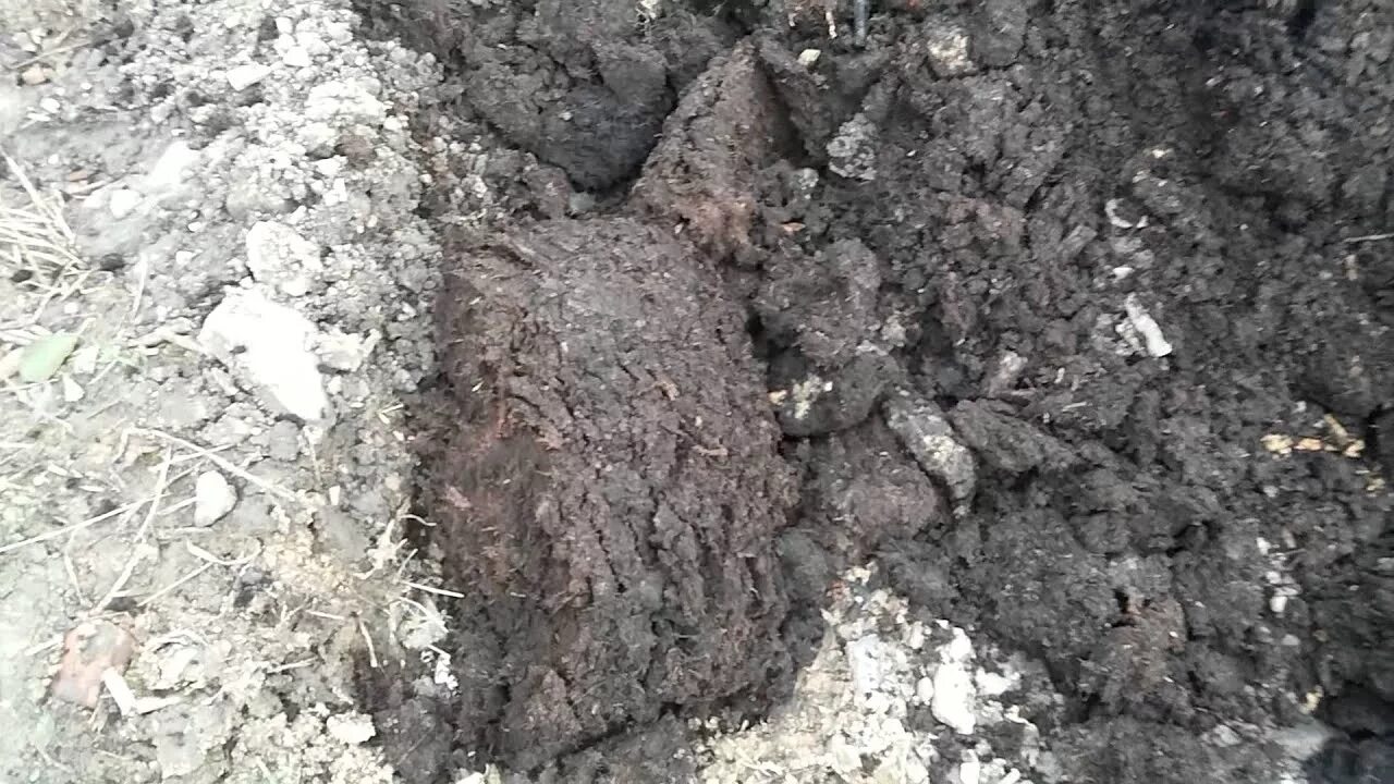 Грунт увеличивается в объеме. Морозное пучение грунта. пучение грунтов. пучение почвы. набухание почвы.