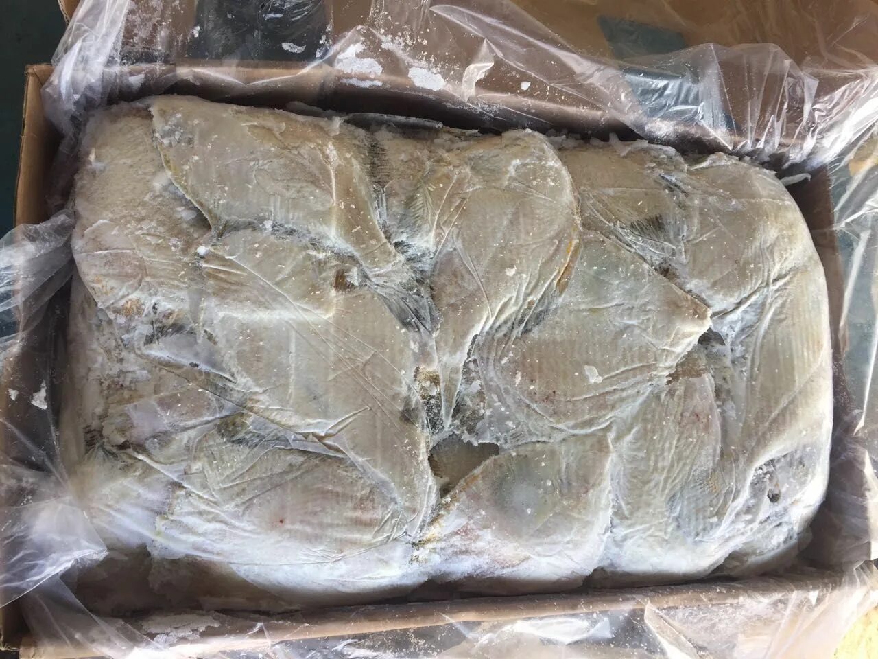 горбуша свежемороженая 2022. рыба со склада москва. рыба в коробке замороженная. камбала нр. нерка рыба мороженая.