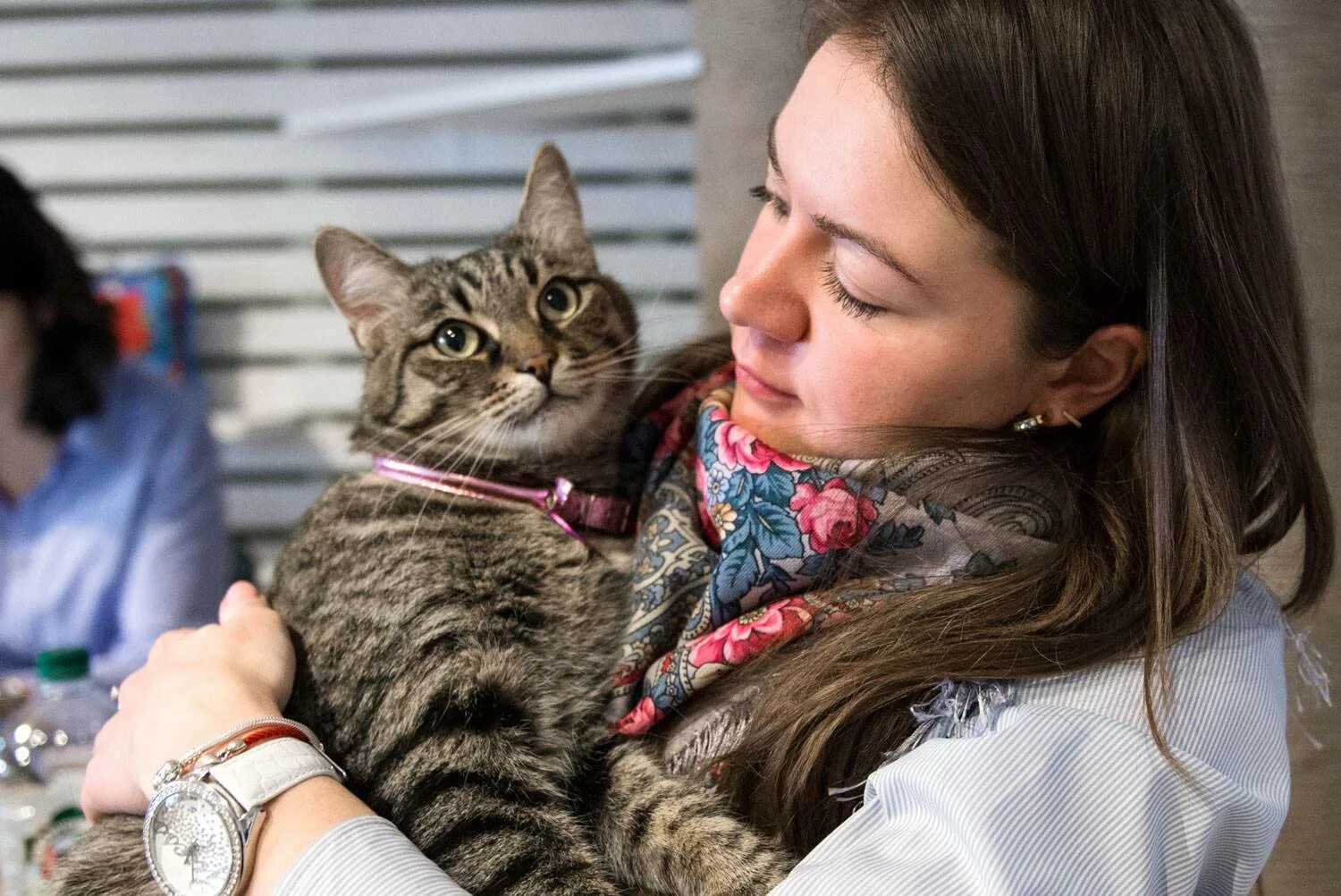 Котики и люди. Котокафе котики и люди. котокафе котики и люди, москва. антикафе с кошками.