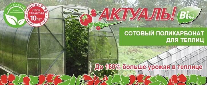 Актуаль био плотность. Поликарбонат актуаль био 4 мм. поликарбонат сотовый 4мм актуаль био. сотовый поликарбонат актуаль био. сотовый поликарбонат dlya teplici.