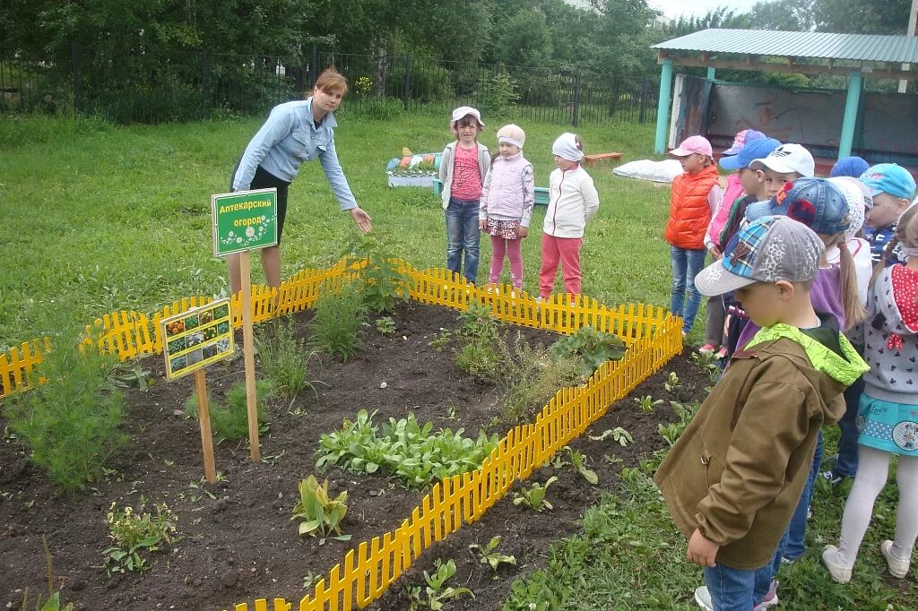 Экологическая тропа в дет саду. Огород в детском саду на участке. Зеленая тропа в детском саду. Экологическая тропинка на участке ДОУ. Занятие экологическая тропа средняя группа