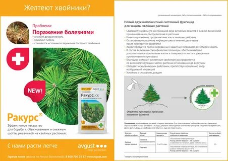 Далее препарат