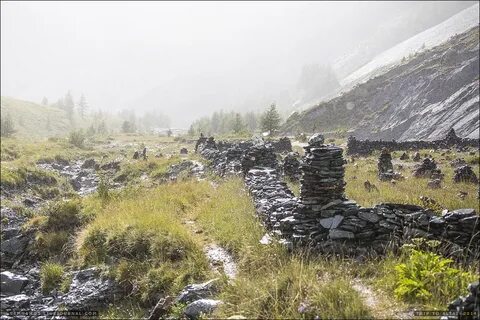 Алтайская 7 дней