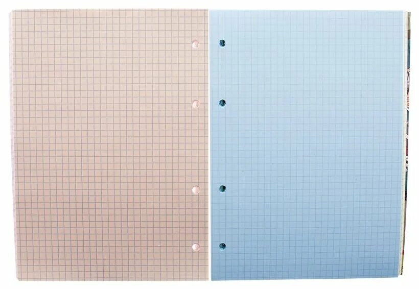 80гр. Блок бумаги в клетку. Блок бумаги в клетку. 6040300 клетка (кратно 5). Сменный блок 100л,кл,а4,(0017).