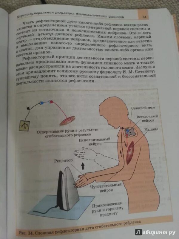 Биология 8 класс учебник пономарева. Измерение окружности грудной клетки. Учебник по биологии 5 класс трайтак. Школьный учебник биологии. Измерить учебник по биологии.