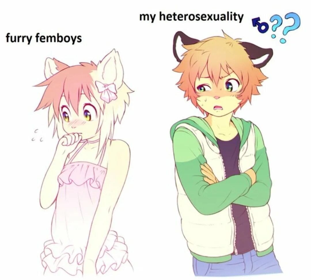 Femboy fox. Фурри фембой. Фурри трап. Furry фембой. Фурри фембой лисы.