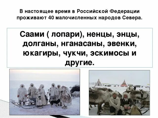 Самое северное население россии. Народы крайнего севера России. Коренные малочисленные народы крайнего севера. Народ живущий на севере. Сообщение о народах крайнего севера.