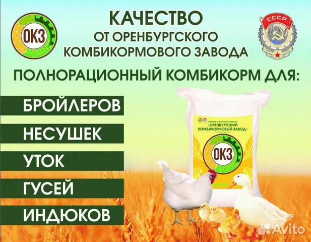 Комбикормовый мини завод уральселстрой. Мини завод. Окз оренбургский комбикормовый завод. Гкз глазовский комбикормовый завод. Комбикормовый завод комбикорм.