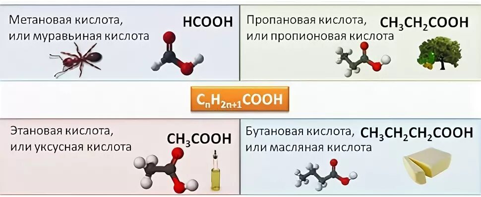 Сложные эфиры предельных одноосновных кислот. Сложный эфир муравьиной кислоты. метановая этановая пропановая кислота. муравьиная или метановая кислота. метановая и пропионовая кислоты.