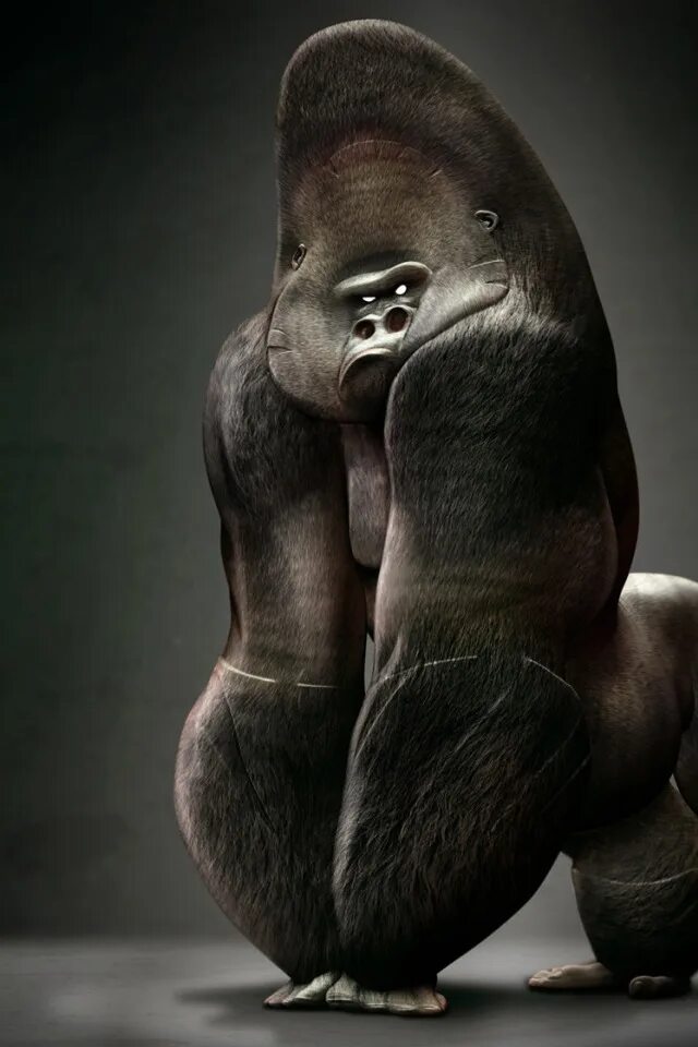 Джамбо лысая горилла. Лысеющая горилла. Мускулистая горилла. Накаченная горилла.