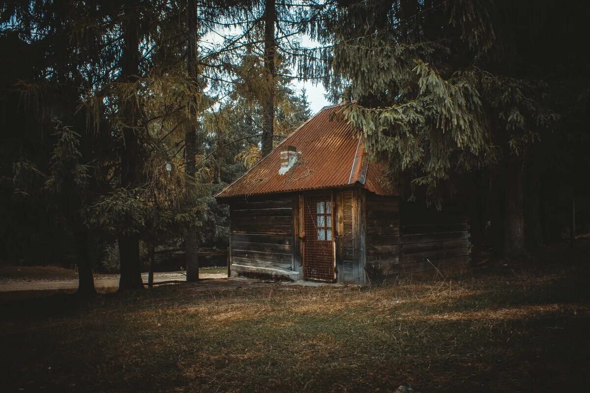 Дом стоявший на опушке леса. Forest house хижина в лесу. дом в лесу атмосфера. хижина в лесу атмосферно. обои на рабочий стол хижина в лесу.