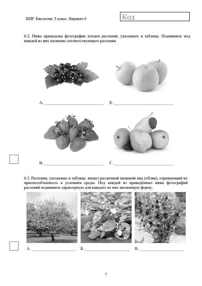 Впр 5 класс биология с ответами 7