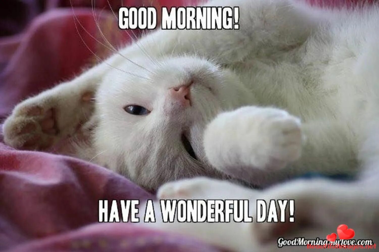 Good morning мем. Morning was fun. Morning humor. Morning was fun. Смешные открытки good morning.