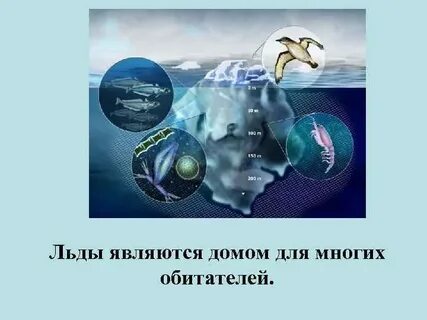 Явишься домой
