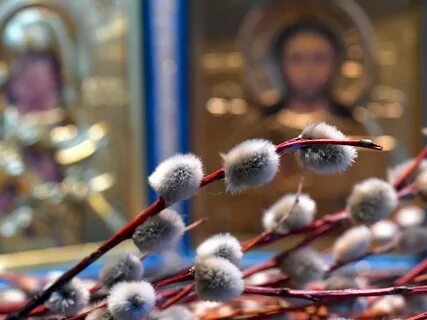 Вербное воскресенье 2024 что нужно делать