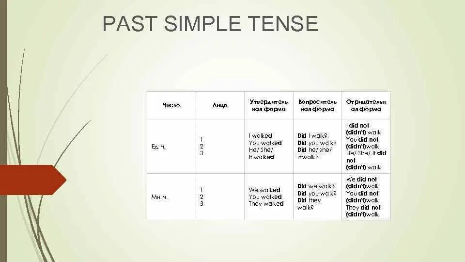 Past simple множественное число. Past simple глагол во множественном числе. Паст ч=Симпл. Лица и числа паст Симпл.