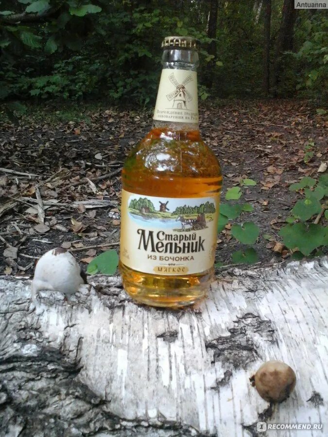 Сколько бутылок в старом мельнике. Пиво старый Мельник на природе. Старый Мельник пиво.
